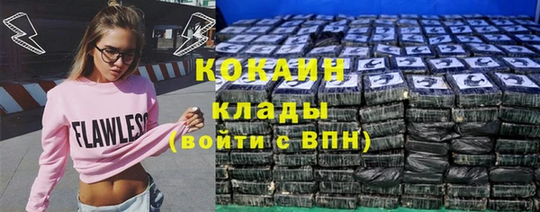 кокс Няндома