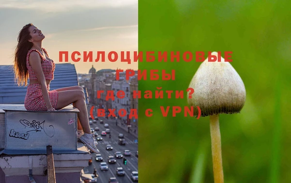кокс Няндома